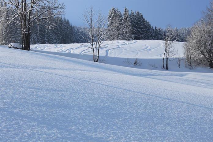 Frühstückspension: Hotel-Pension Bruckreiterhof