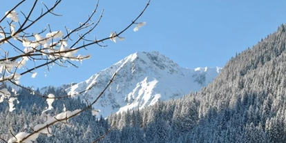 Pensionen - Hunde: erlaubt - Ramsau am Dachstein - Gäste- und Seminarhaus Sölkstub´n