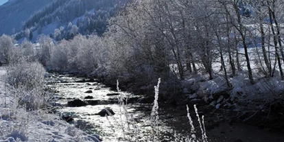 Pensionen - Hunde: erlaubt - Ramsau am Dachstein - Gäste- und Seminarhaus Sölkstub´n