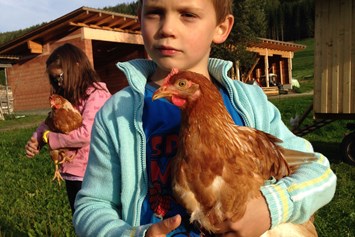 Frühstückspension: ca. 10 Hühner leben bei uns auf dem Hof in einem mobilen Hühnerstall - Jakobbauer