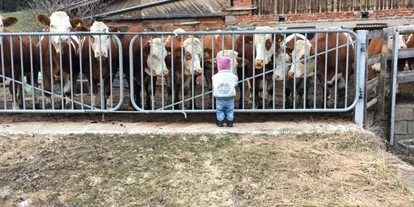 Pensionen - WLAN - Kapfenberg - Jakobbauer