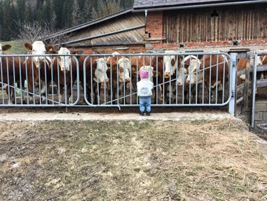 Frühstückspension: Jakobbauer