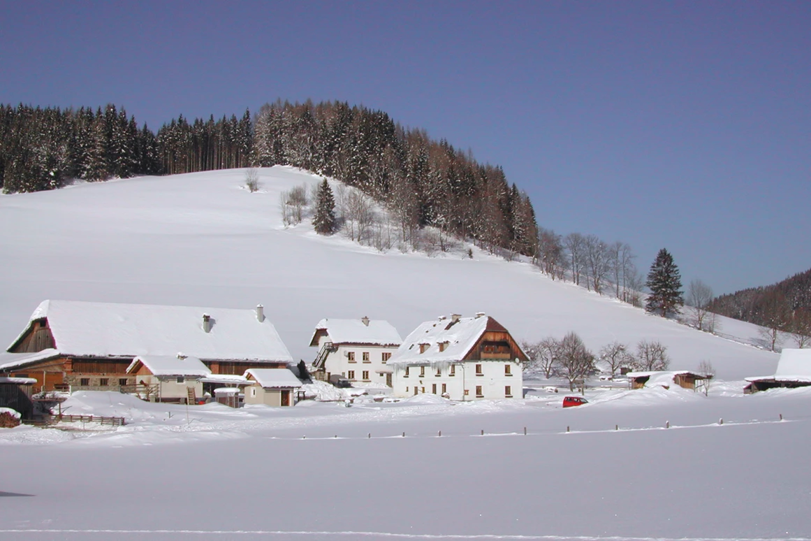 Frühstückspension: Winter - Jakobbauer