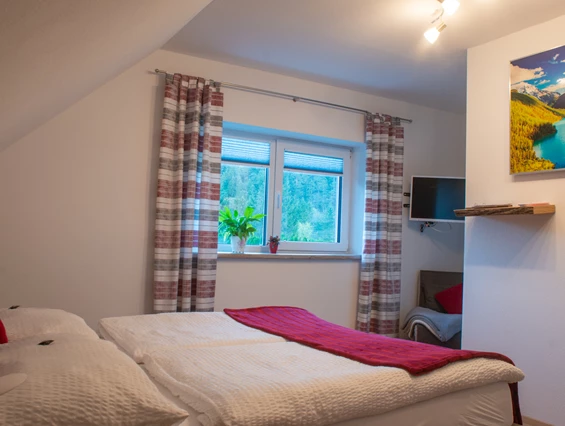 Frühstückspension: Dreibettzimmer, Doppelbett und Schlafsofa, Bad/WC, Bettwäsche und WC - Papier vorhanden,Handtücher, gratis WLAN, Flat TV, Kosmetikartikel          2 - max. 3 Personen - Burnout Wildalps