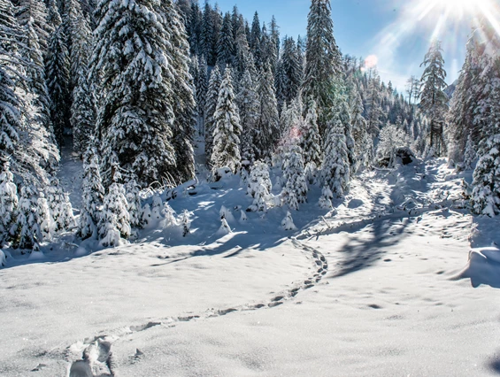 Frühstückspension: Burnout Wildalps