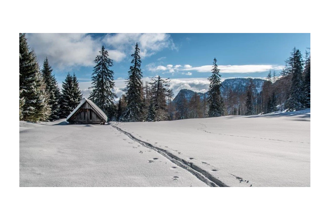 Frühstückspension: Burnout Wildalps