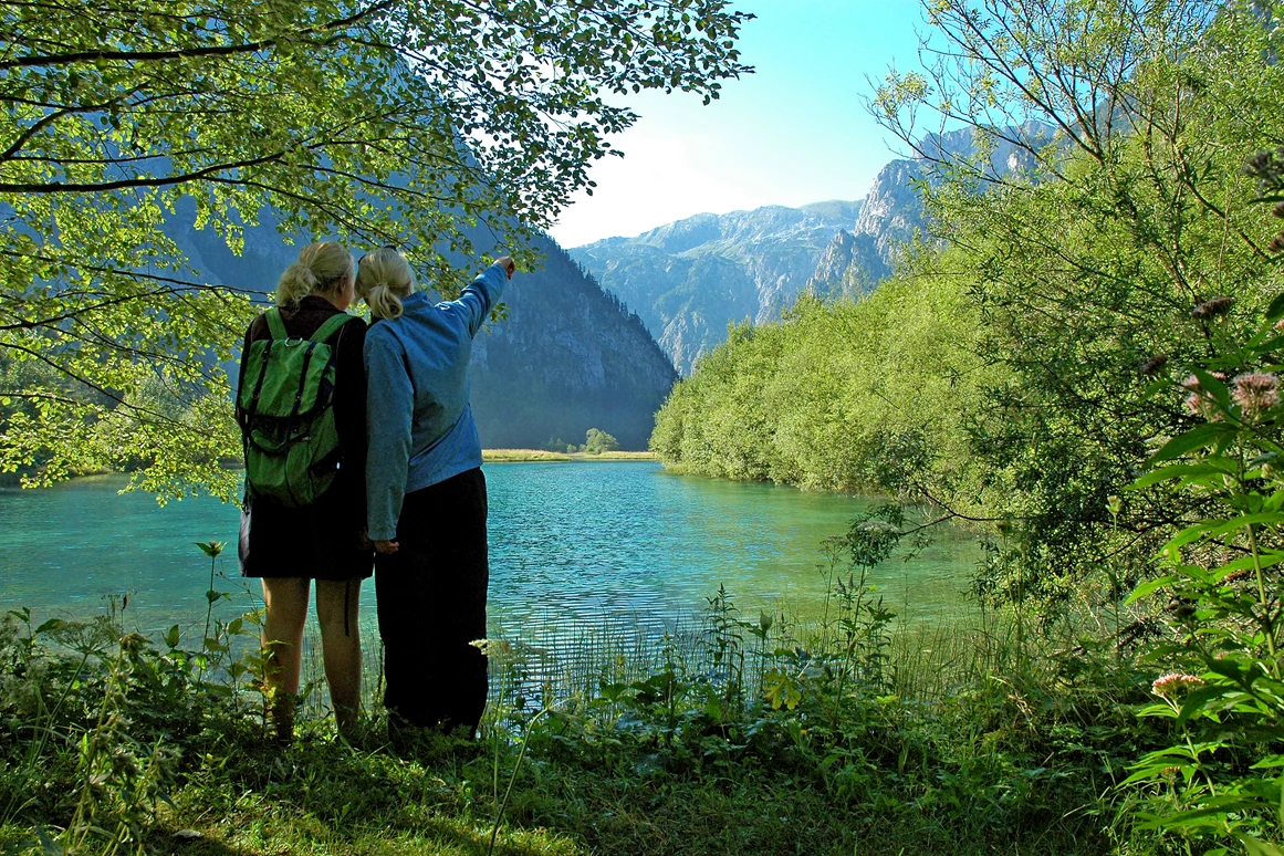 Frühstückspension: Burnout Wildalps