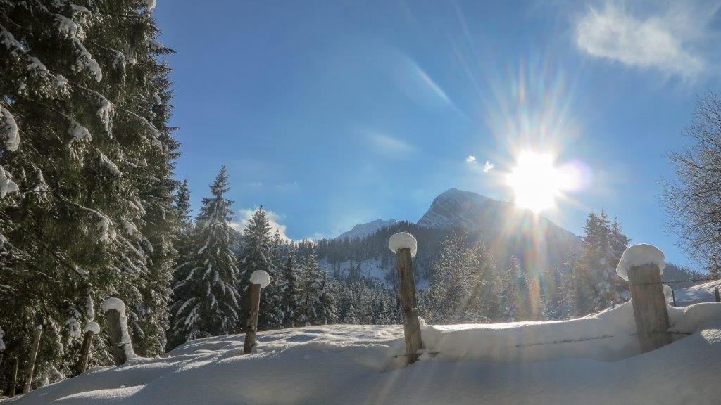 Frühstückspension: Burnout Wildalps