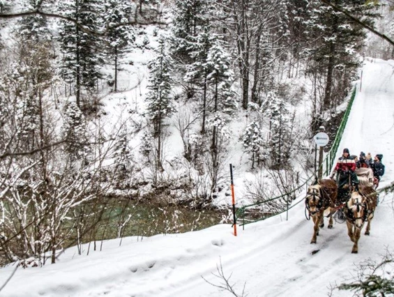 Frühstückspension: Burnout Wildalps