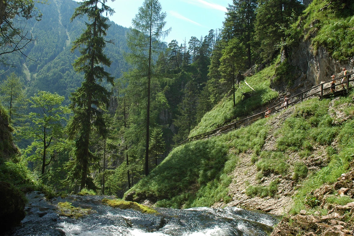 Frühstückspension: Burnout Wildalps