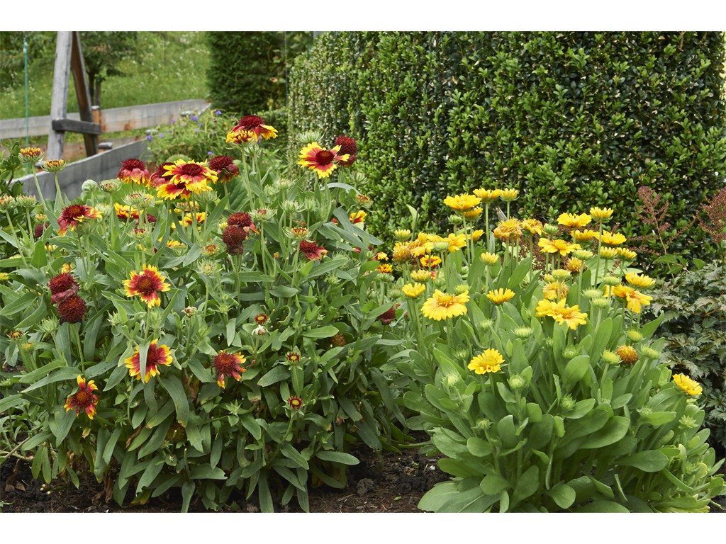 Frühstückspension: Ferienhaus Jantscher