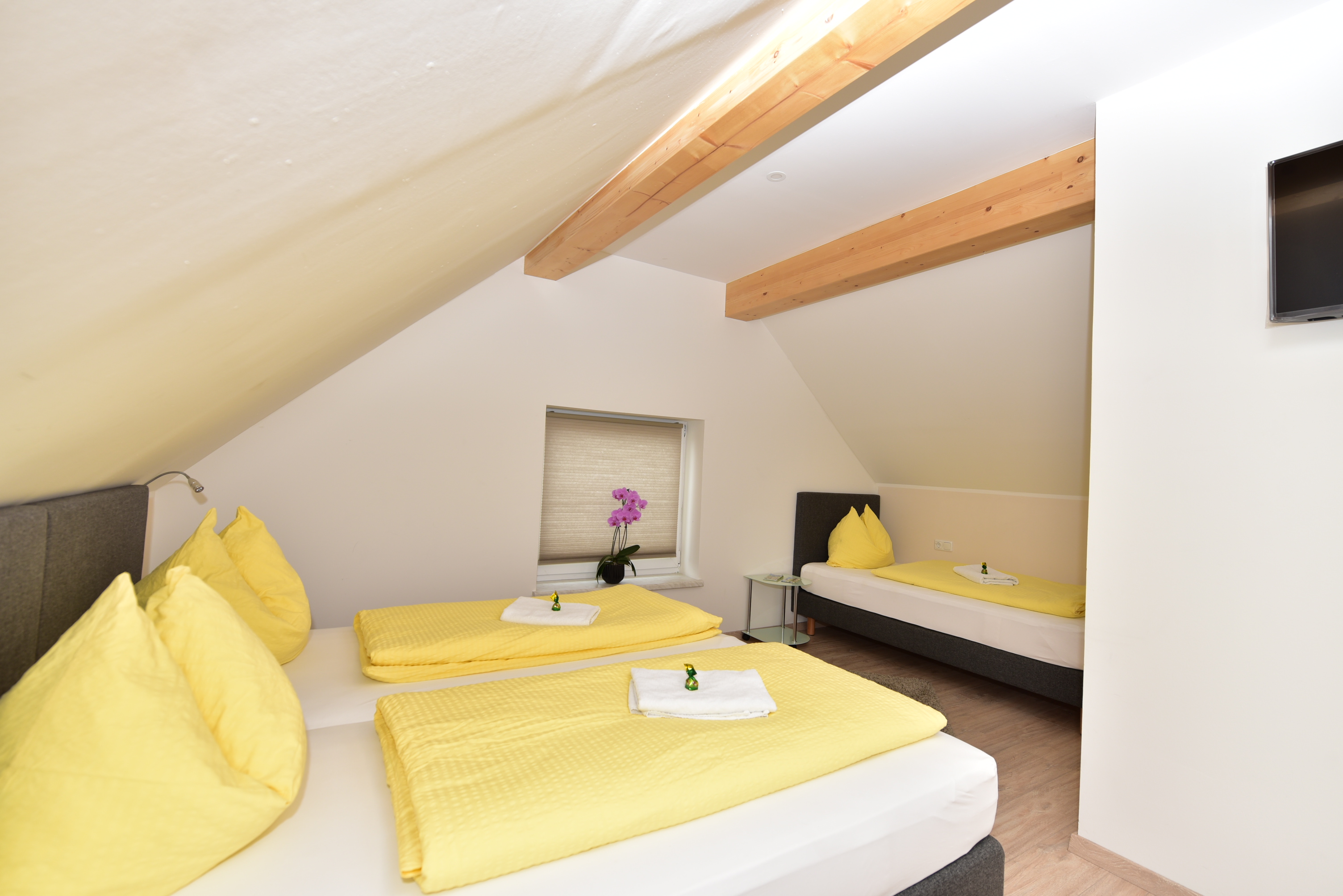 Frühstückspension: Familien Zimmer 3 Betten, Bad / WC, TV, Minibar, Internet - Ferienwohnung-Zimmer Yassi 