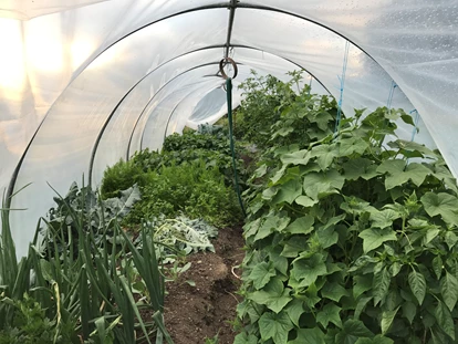 Pensionen - Ossiach - Unser Garten - Frühstückspension Brückler