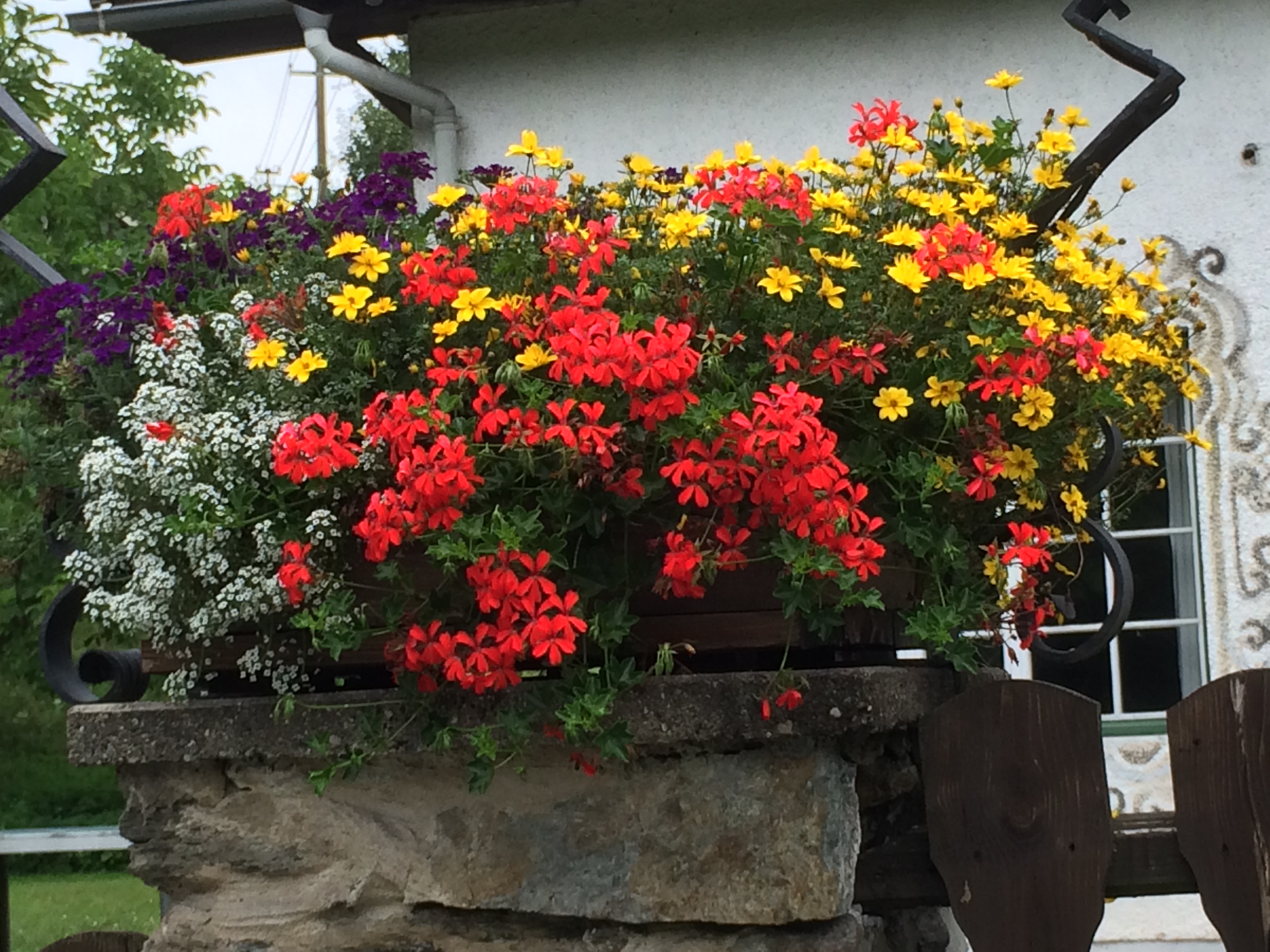Frühstückspension: Blumenschmuck - Frühstückspension Brückler