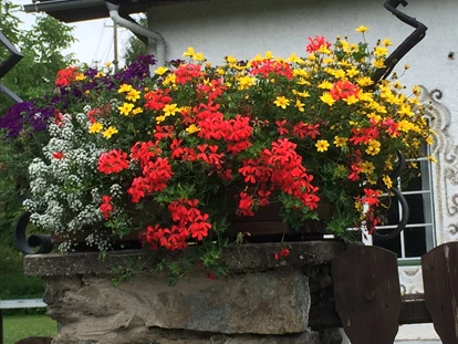 Pensionen - Ossiach - Blumenschmuck - Frühstückspension Brückler