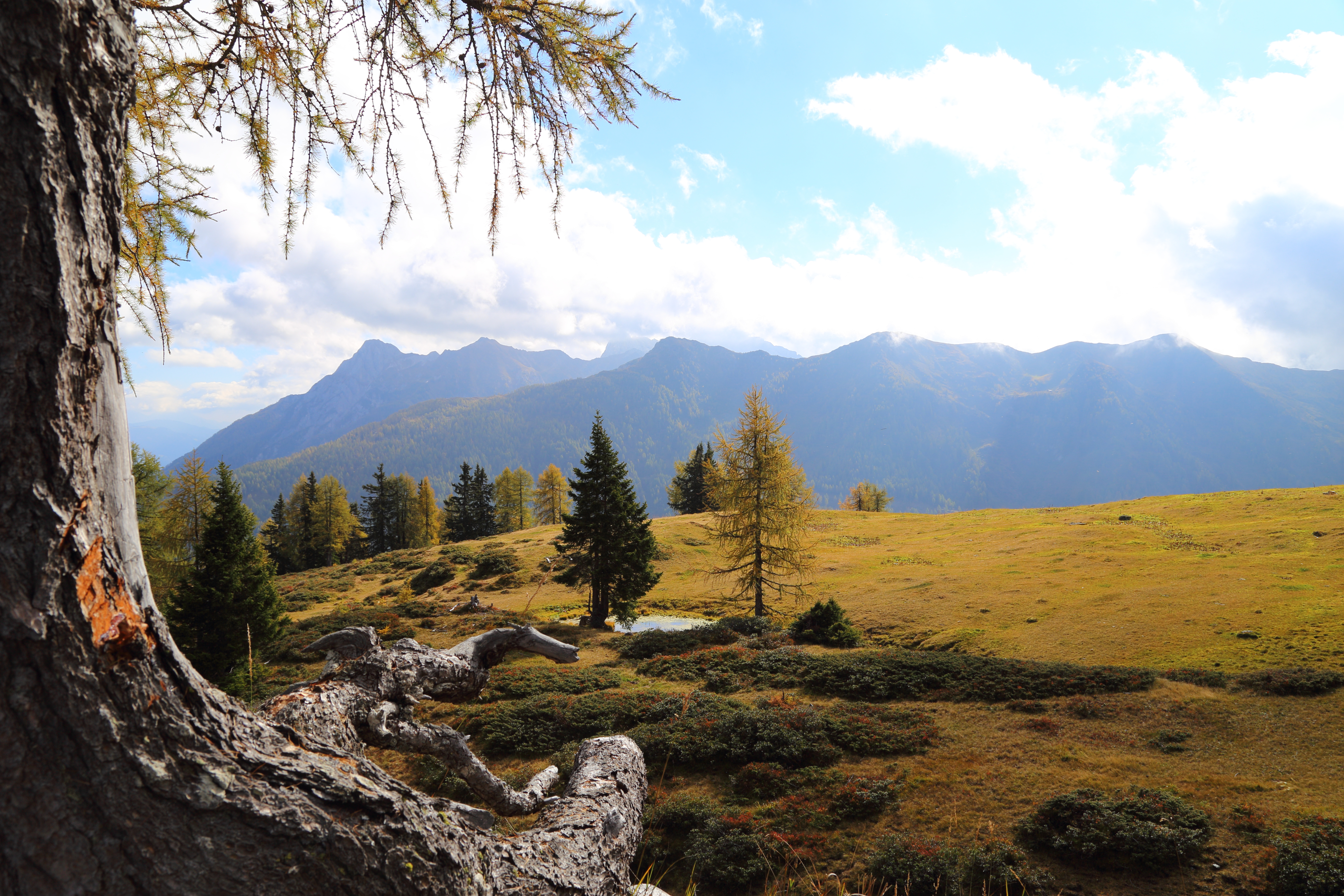 Pensionen - PLZ 9900 (Österreich) - niedergailer alm/peintnerhof - Peintnerhof