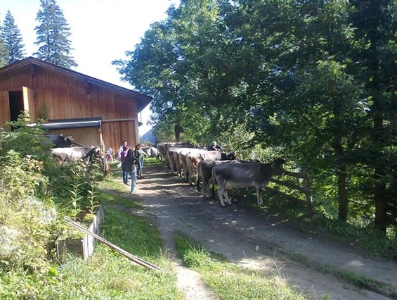 Frühstückspension: Schönherr Haus