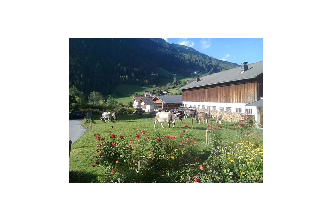 Frühstückspension: Schönherr Haus