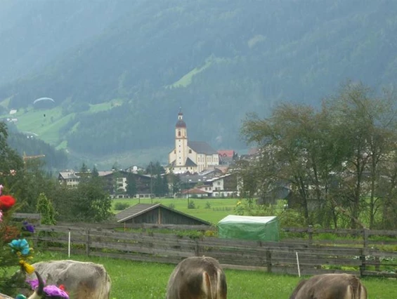 Frühstückspension: Schönherr Haus