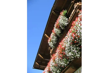 Frühstückspension: Blumenpracht auf dem Südbalkon - Haus Sarah