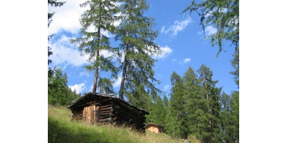Pensionen - Parkplatz: kostenlos bei der Pension - Seefeld in Tirol - von Forchach zur Starkenburgerhütte 2007 - Haus Sarah