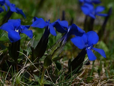Frühstückspension: Haus Elisabeth