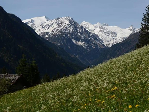 Frühstückspension: Haus Elisabeth