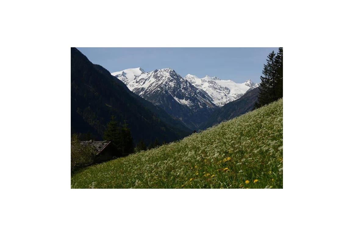 Frühstückspension: Haus Elisabeth