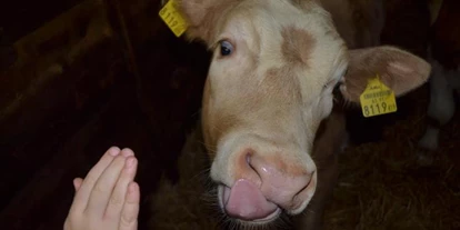 Pensionen - Mallnitz - Pension Thalerhof