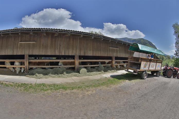 Frühstückspension: Gasthof Post