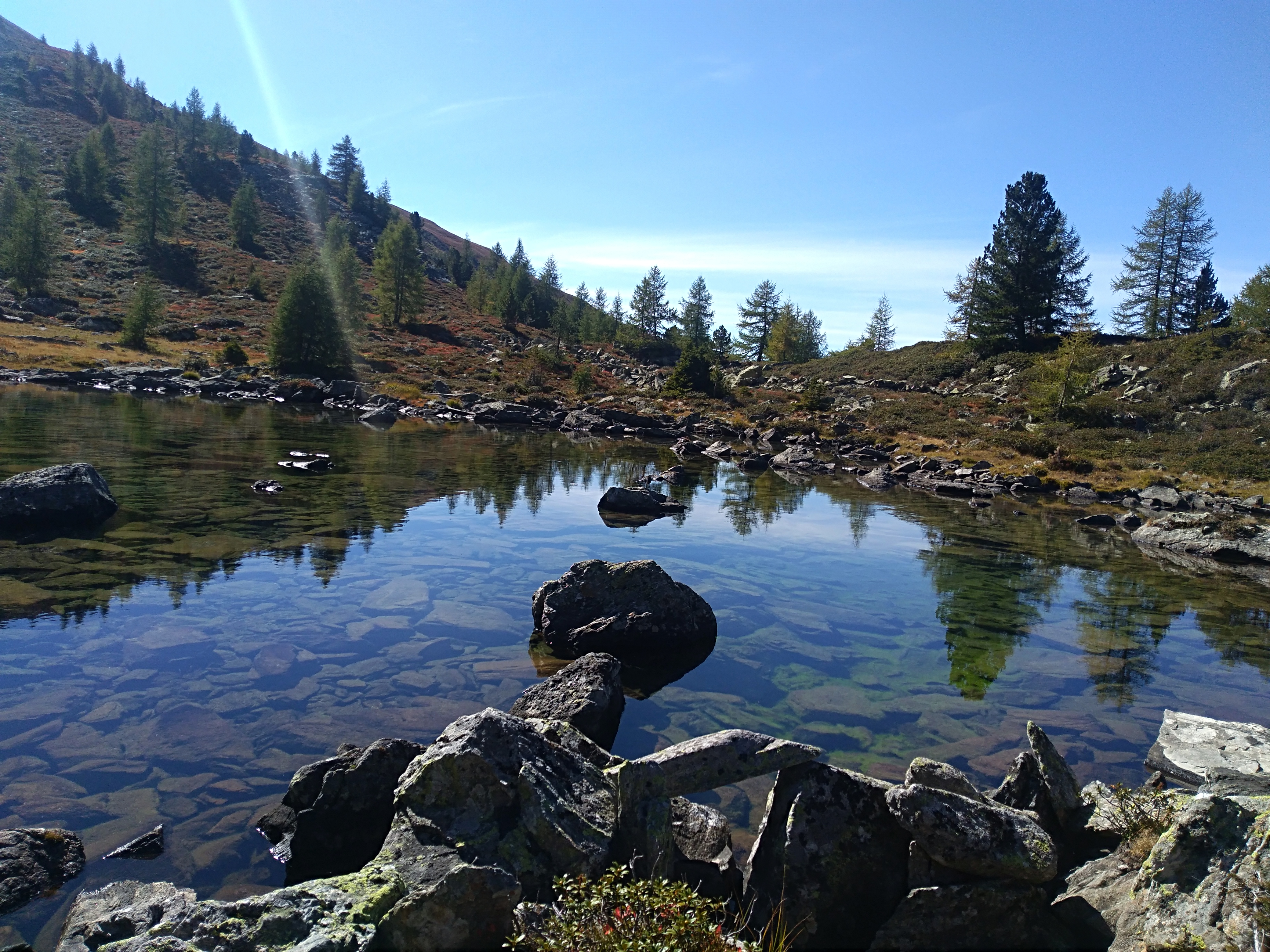 Frühstückspension: Gästehaus Alpenrose