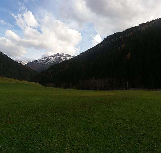 Pensionen - Stubaital - Salcherhof