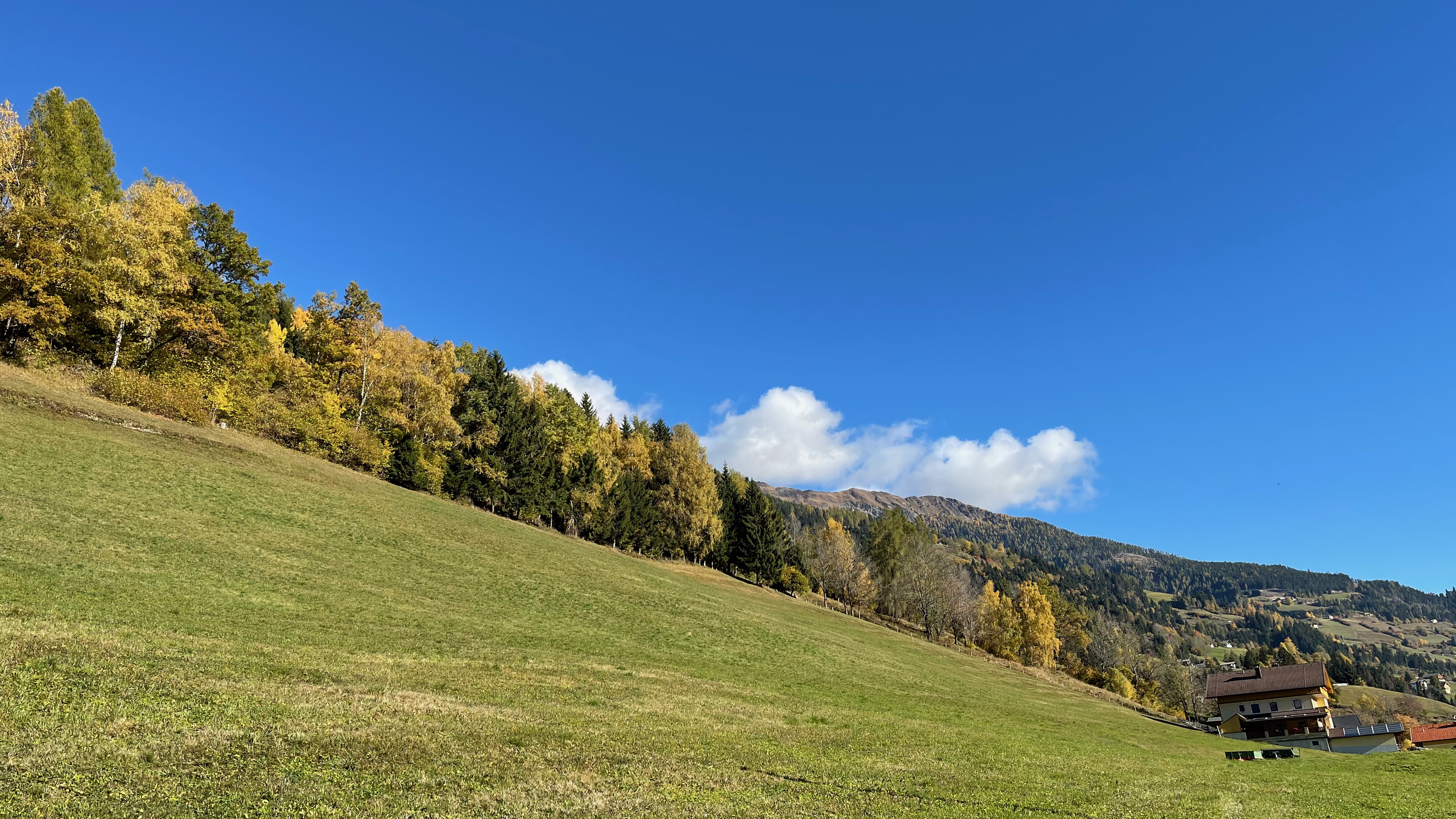 Frühstückspension: Pension Pichlerhof