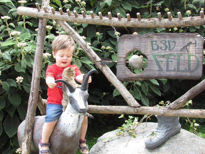 Frühstückspension: Waldpension Ranner - Ferienwohnungen