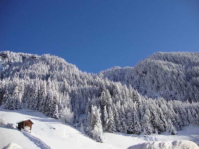 Frühstückspension: Alpengasthof Bärenbad