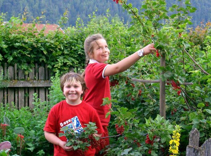 Frühstückspension: Pension Schottenhof