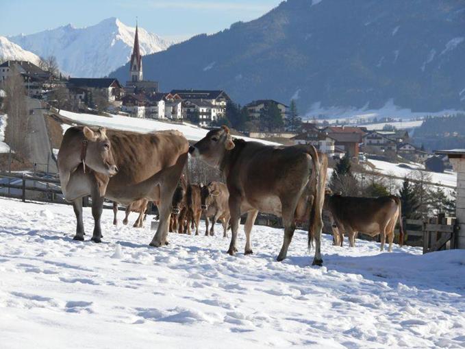 Frühstückspension: Pension Schottenhof
