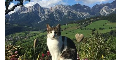 Pensionen - Parkplatz: kostenlos bei der Pension - Leogang - Wastlbauer