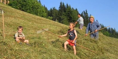 Pensionen - Seefeld in Tirol - Alpengasthaus Gleinserhof