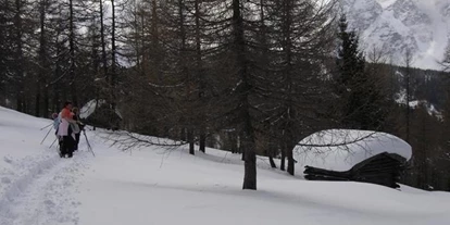 Pensionen - Seefeld in Tirol - Alpengasthaus Gleinserhof