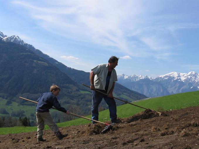Frühstückspension: Alpengasthaus Gleinserhof