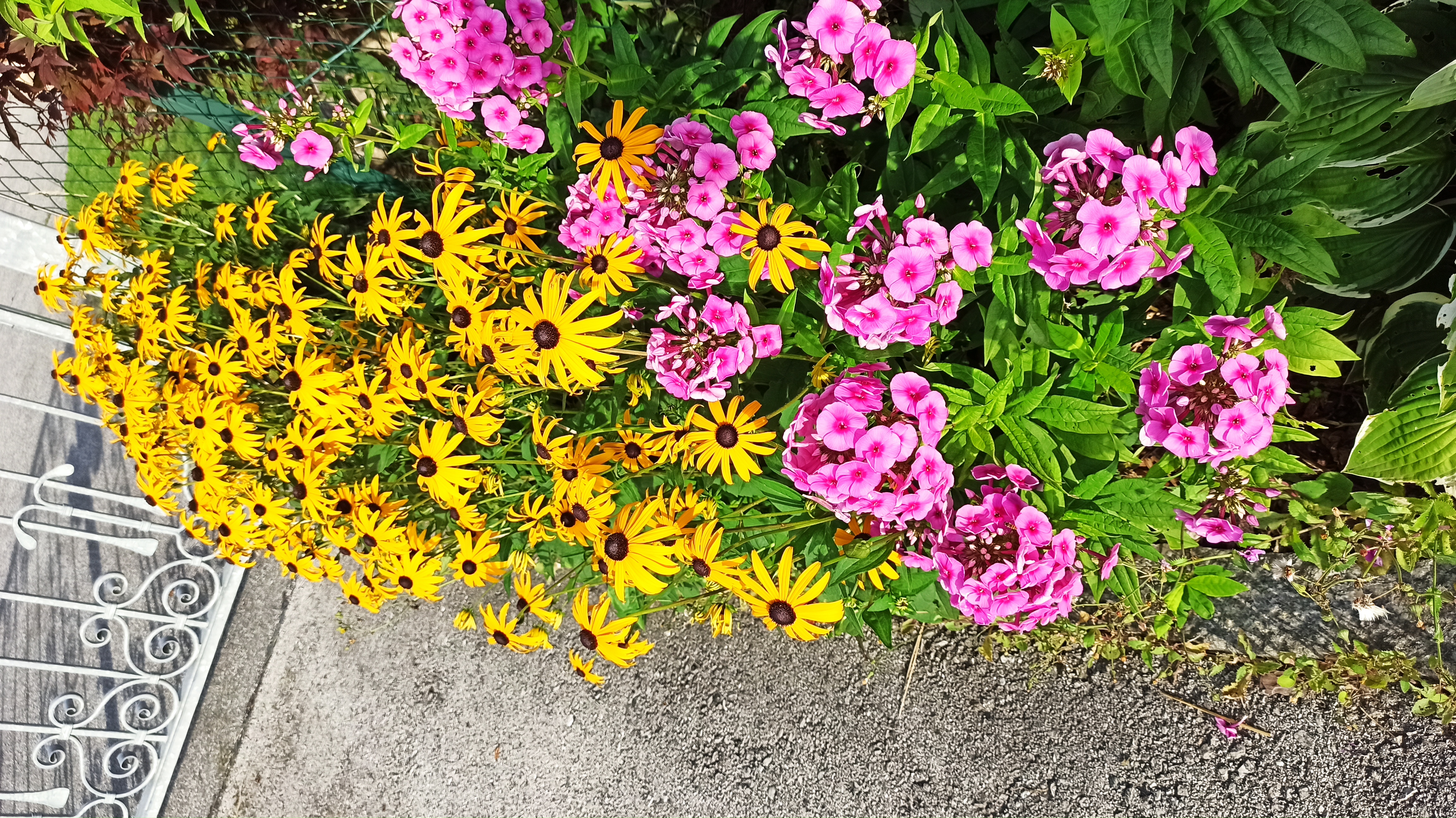 Pensionen - Art der Pension: Frühstückspension - Keutschach - Außenbereich - Pension Adlerhorst