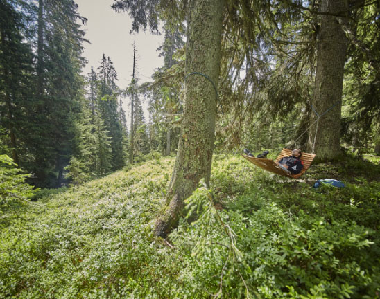 Frühstückspension: Pension Lederergütl