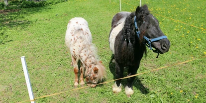 Pensionen - Restaurant - Miniponys Mia und Tinus - Pension Bergblick am Weissensee