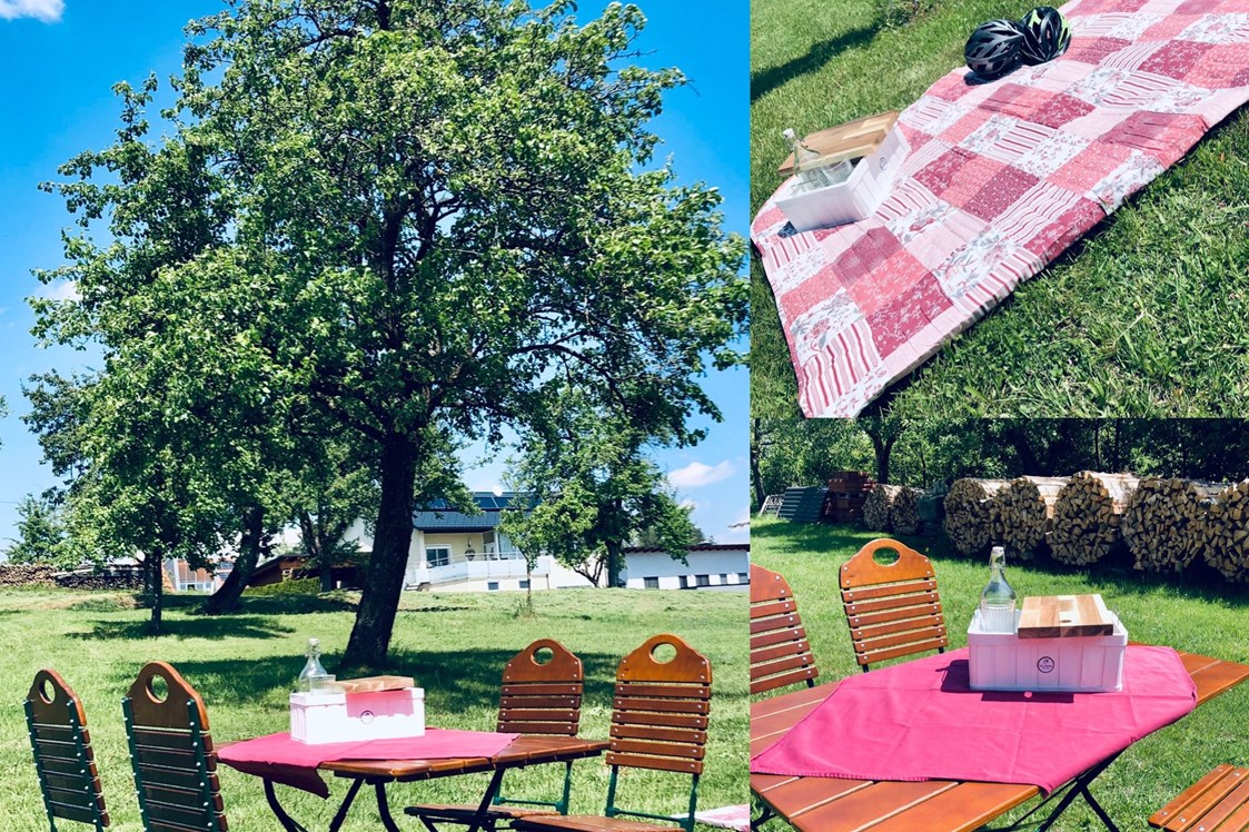 Frühstückspension: Gastgarten in der Wiese ( Picknick) - Wirt z´Bairing