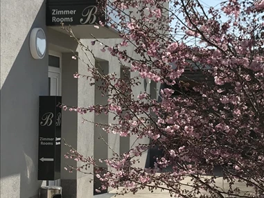 Frühstückspension: Eingangsbereich - 24/7 Zimmer Asten