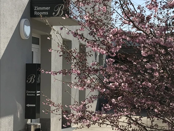 Frühstückspension: Eingangsbereich - 24/7 Zimmer Asten