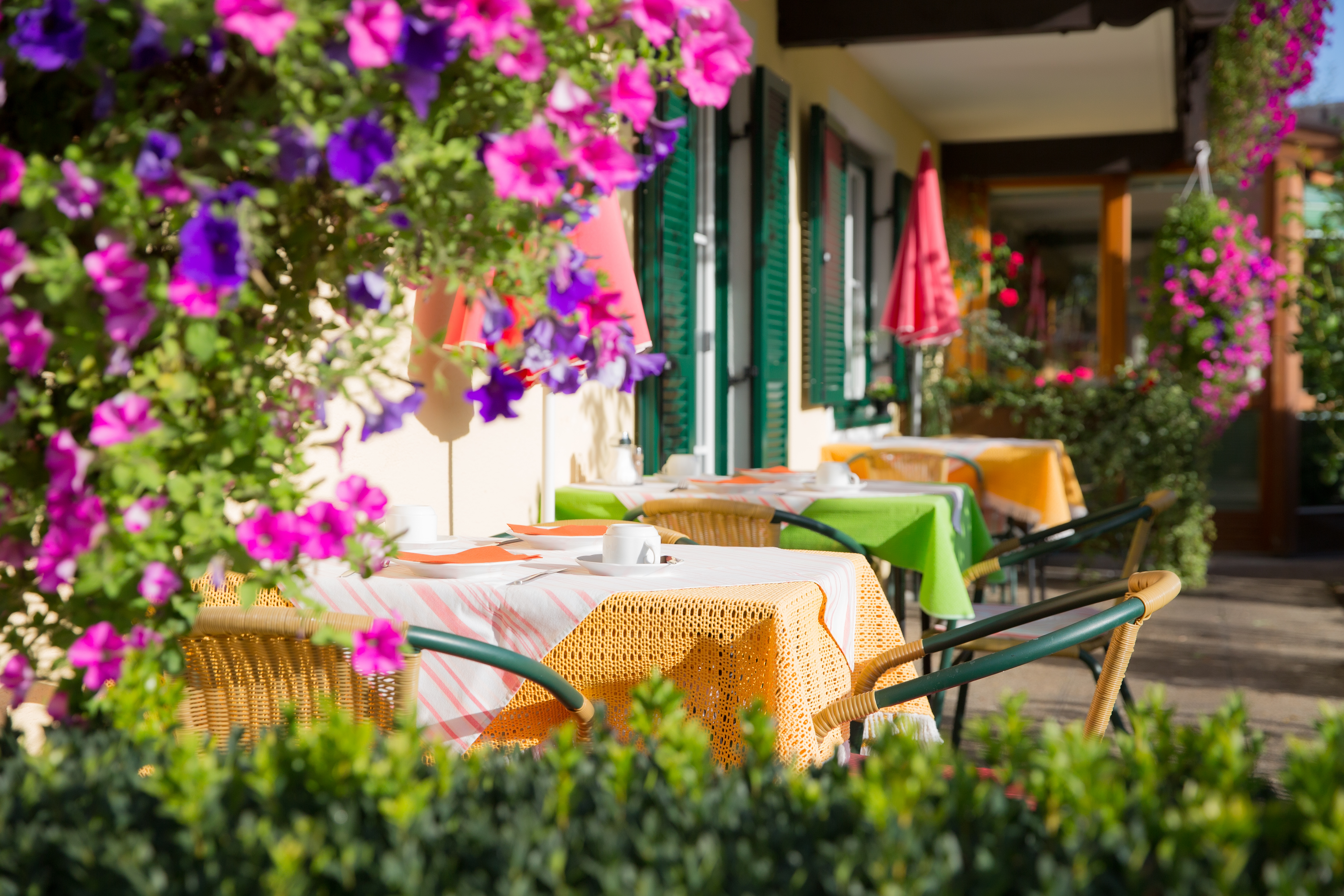 Frühstückspension: In den Sommermonaten können sie ihr Frühstück auch gerne auf der Terrasse einnehmen  - Pension Maria Theresia