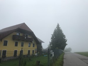 Pensionen - Hunde: erlaubt - Strobl - Unterkunft im Oktober  - Wagnermoosgut