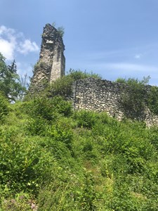 Pensionen - Hunde: erlaubt - Strobl - Wanderung zur Ruine Wildenstein. Man wandert direkt von der Unterkunft weg - Wagnermoosgut